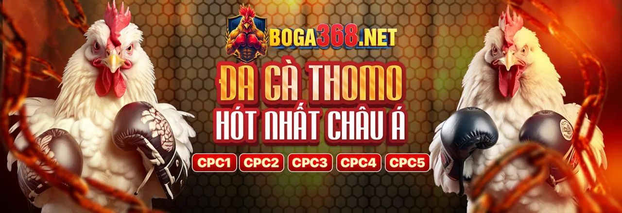 Đá Gà Trực Tuyến Sôi Động tại king789